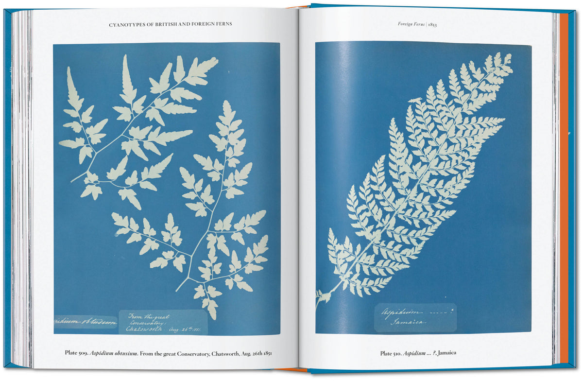 ANNA ATKINS: CYANOTYPES (TASCHEN 45TH) (HB)