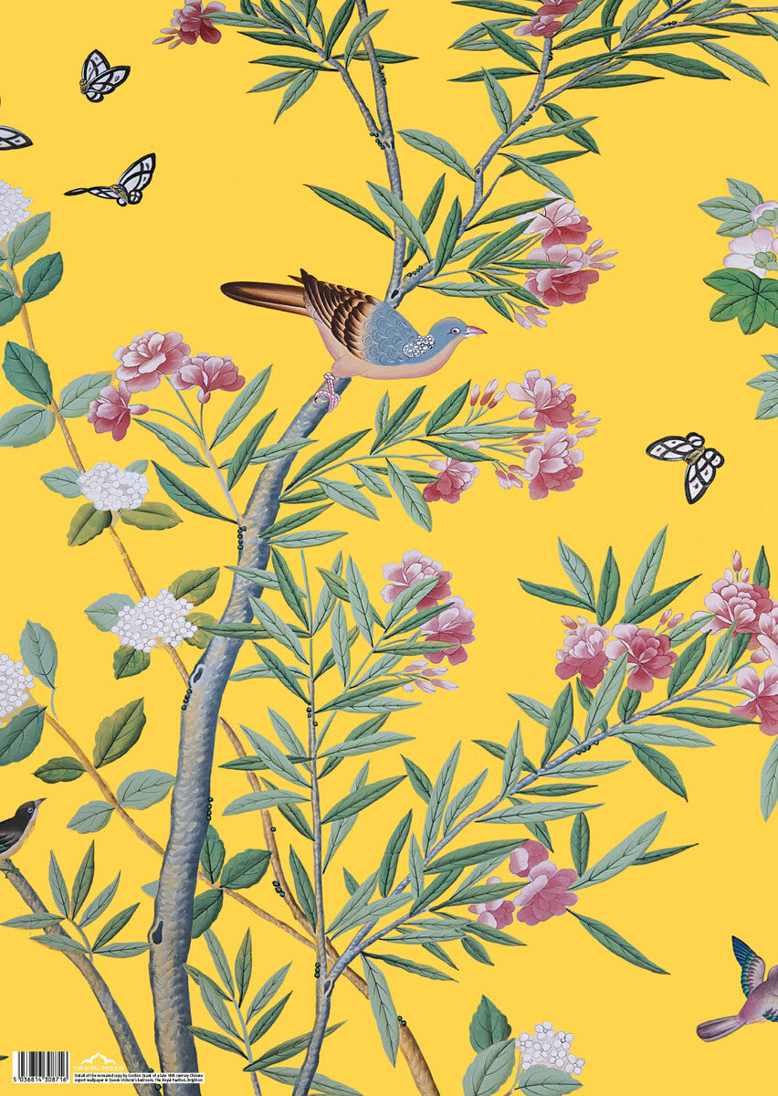 Gift Wrap - Royal Pavilion Queen Victoria's Bedroom Yellow Wallpaper