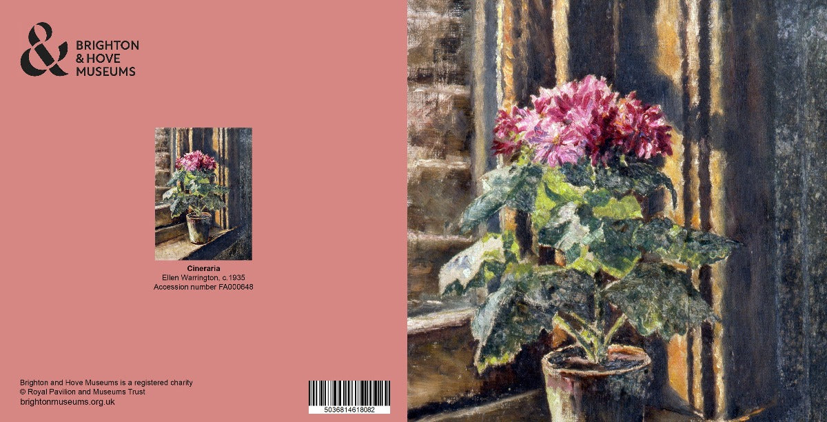 Greetings Card - Cineraria