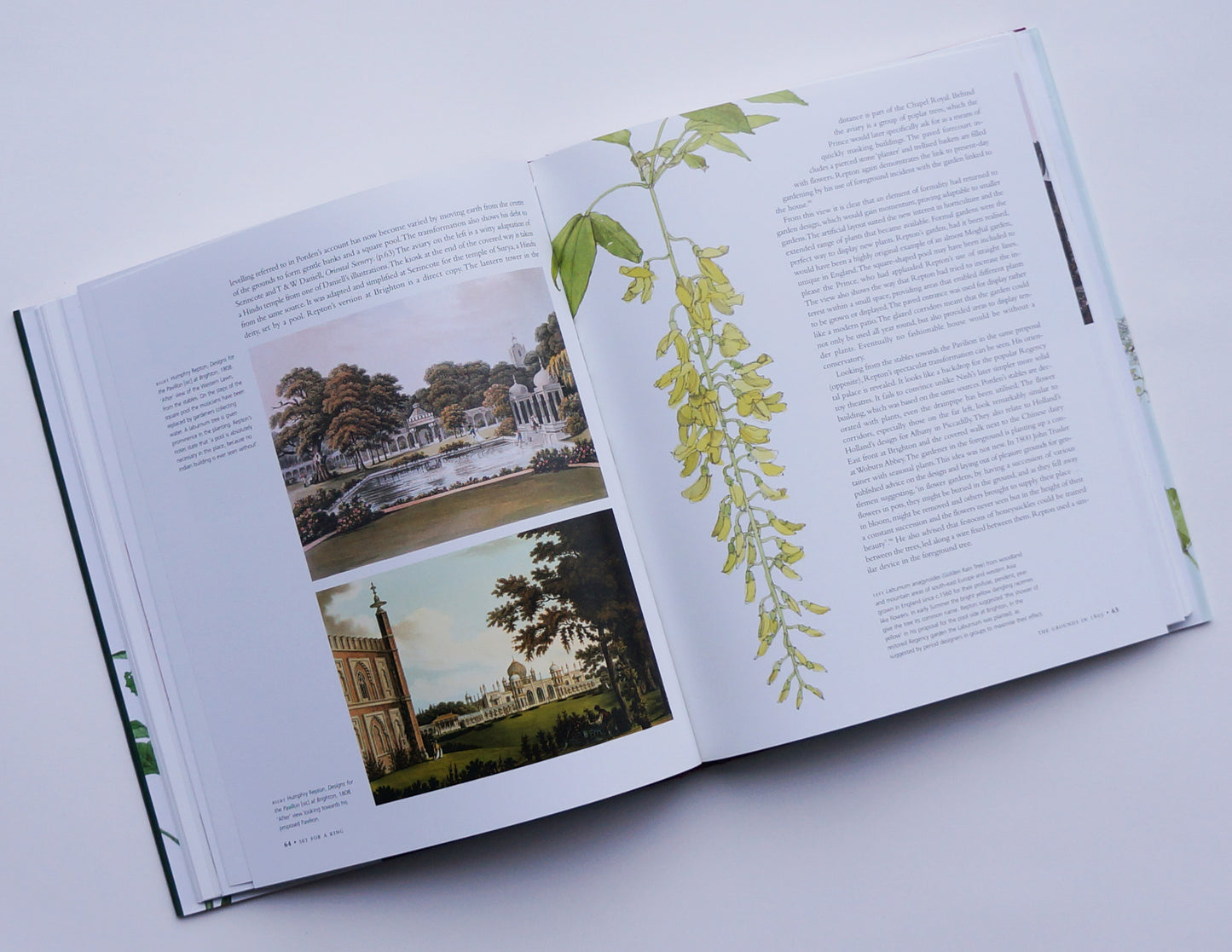 Set for a King: 200 years of Gardening at the Royal Pavilion