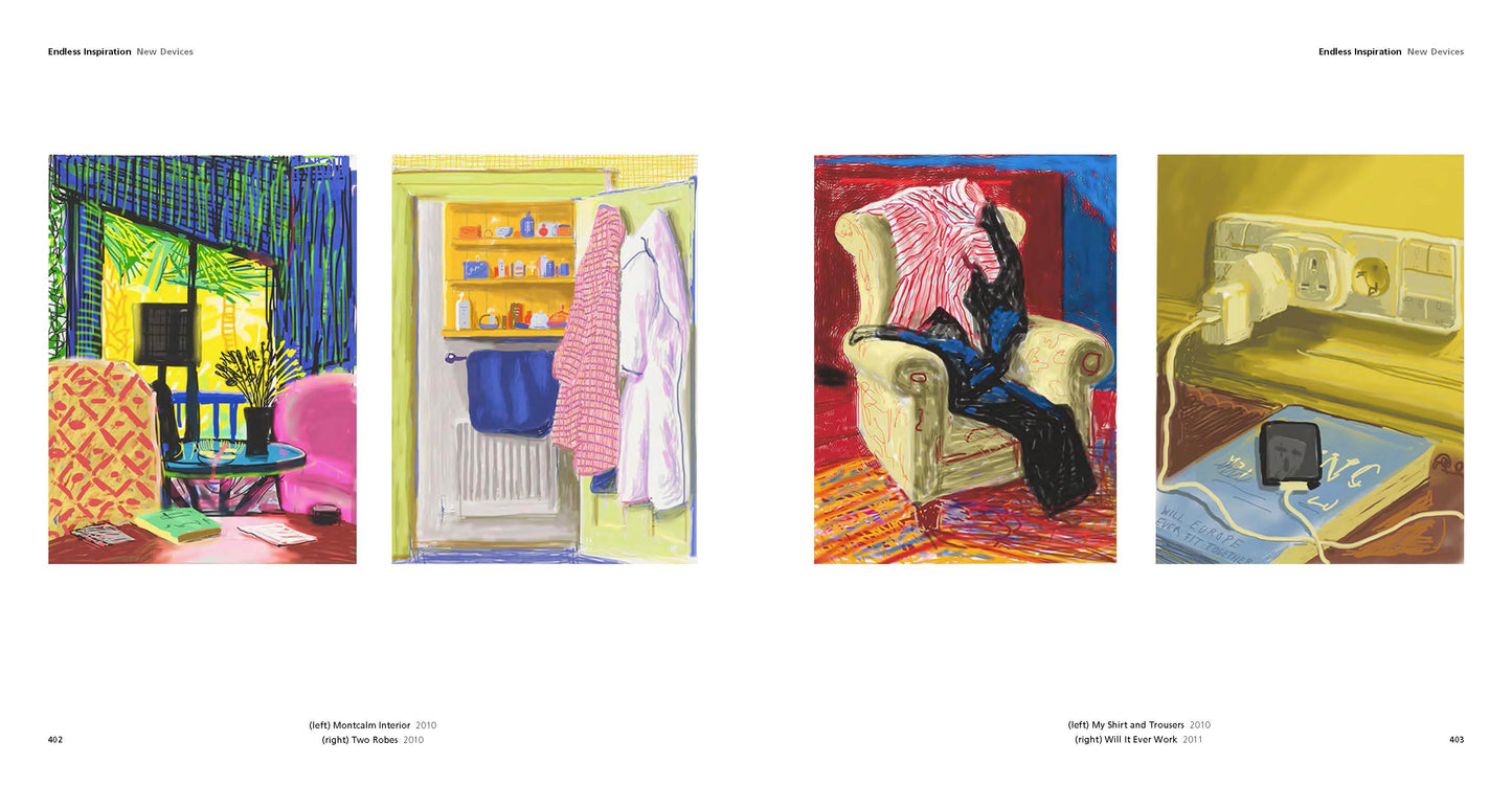 Hockneys Pictures PB