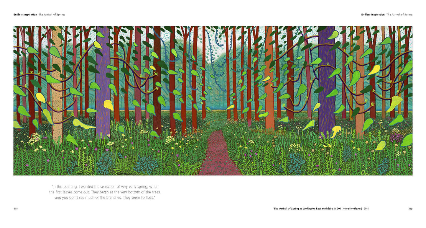 Hockneys Pictures PB