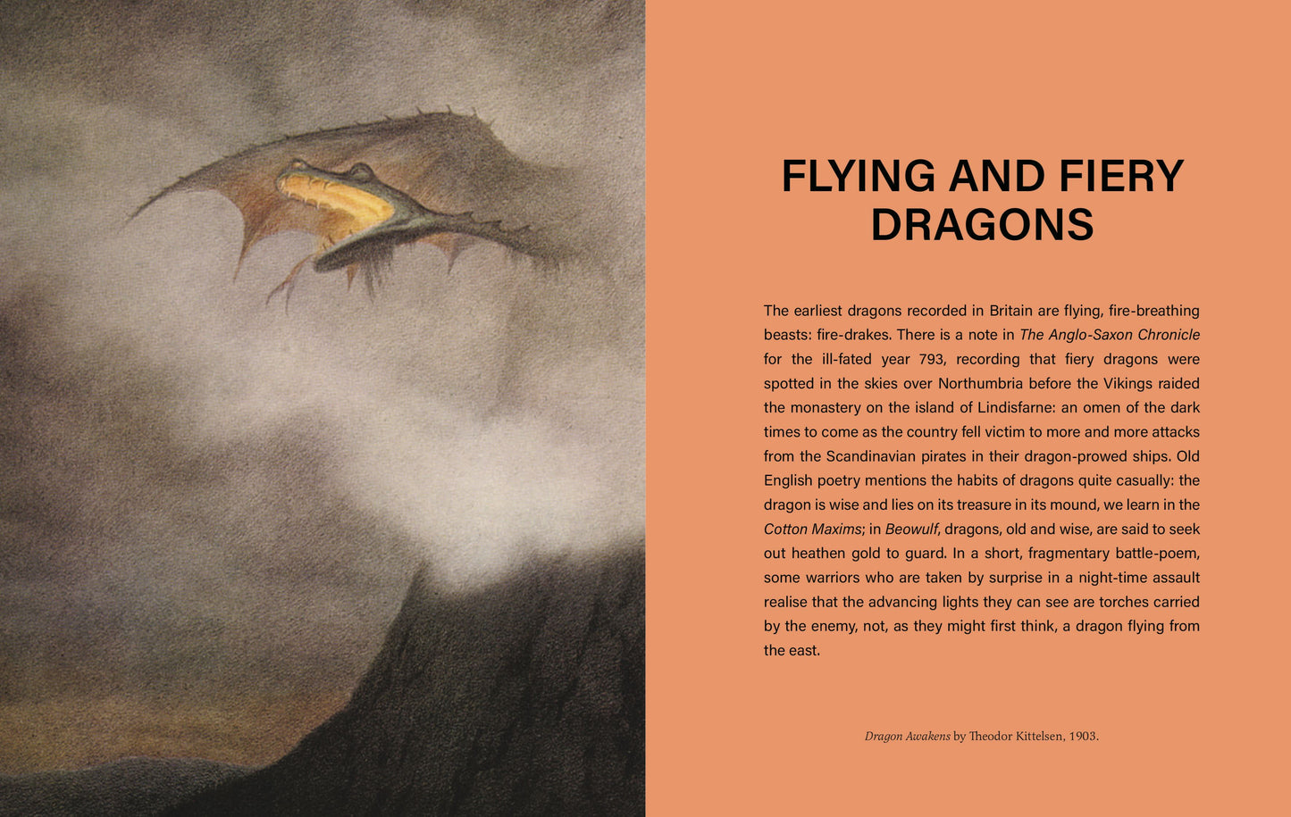 The Little Book Of Dragons