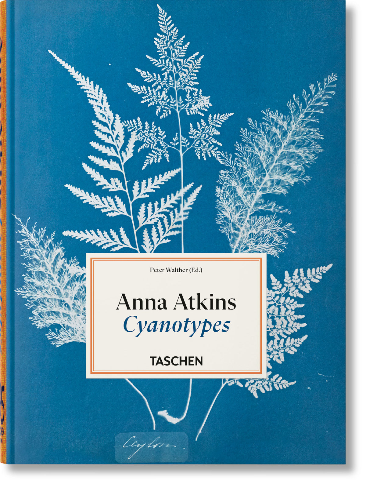 ANNA ATKINS: CYANOTYPES (TASCHEN 45TH)  (HB)
