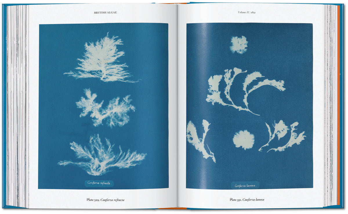 ANNA ATKINS: CYANOTYPES (TASCHEN 45TH)  (HB)