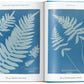 ANNA ATKINS: CYANOTYPES (TASCHEN 45TH)  (HB)