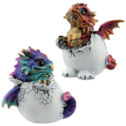 Hatching Dragon Egg