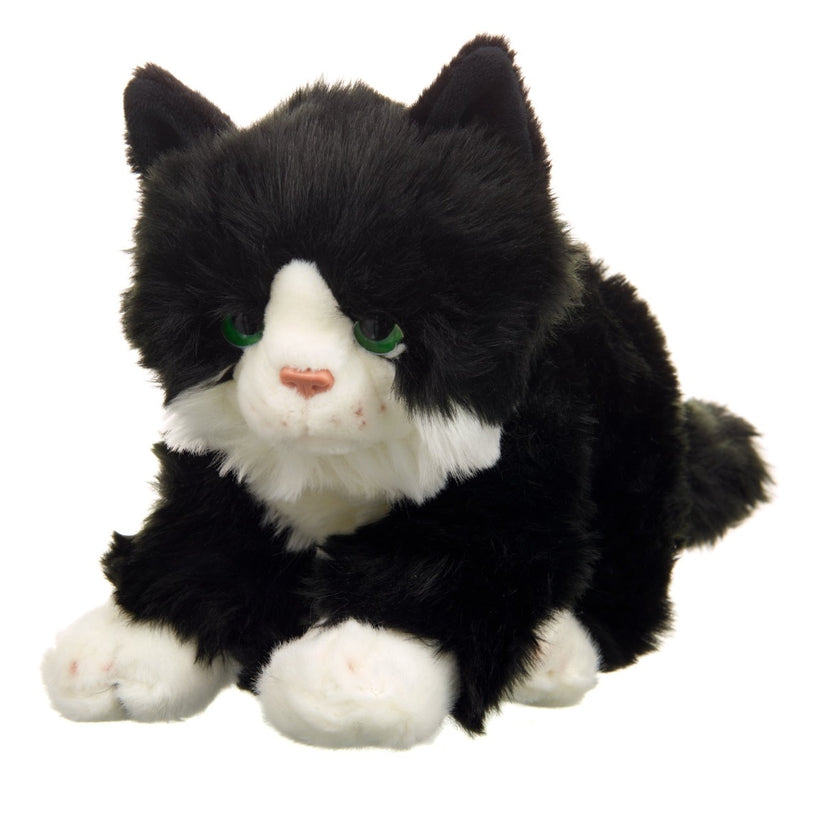 George the Pavilion Cat - Plush Toy – Brighton & Hove Museums Online Shop