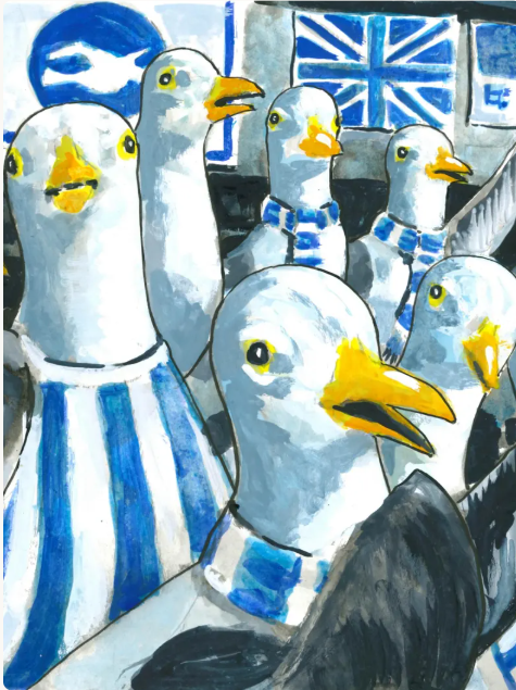 Robert Farrow seagulls