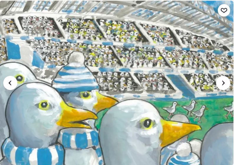 Robert Farrow seagulls Stadium