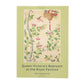 Pack of 8 Postcards