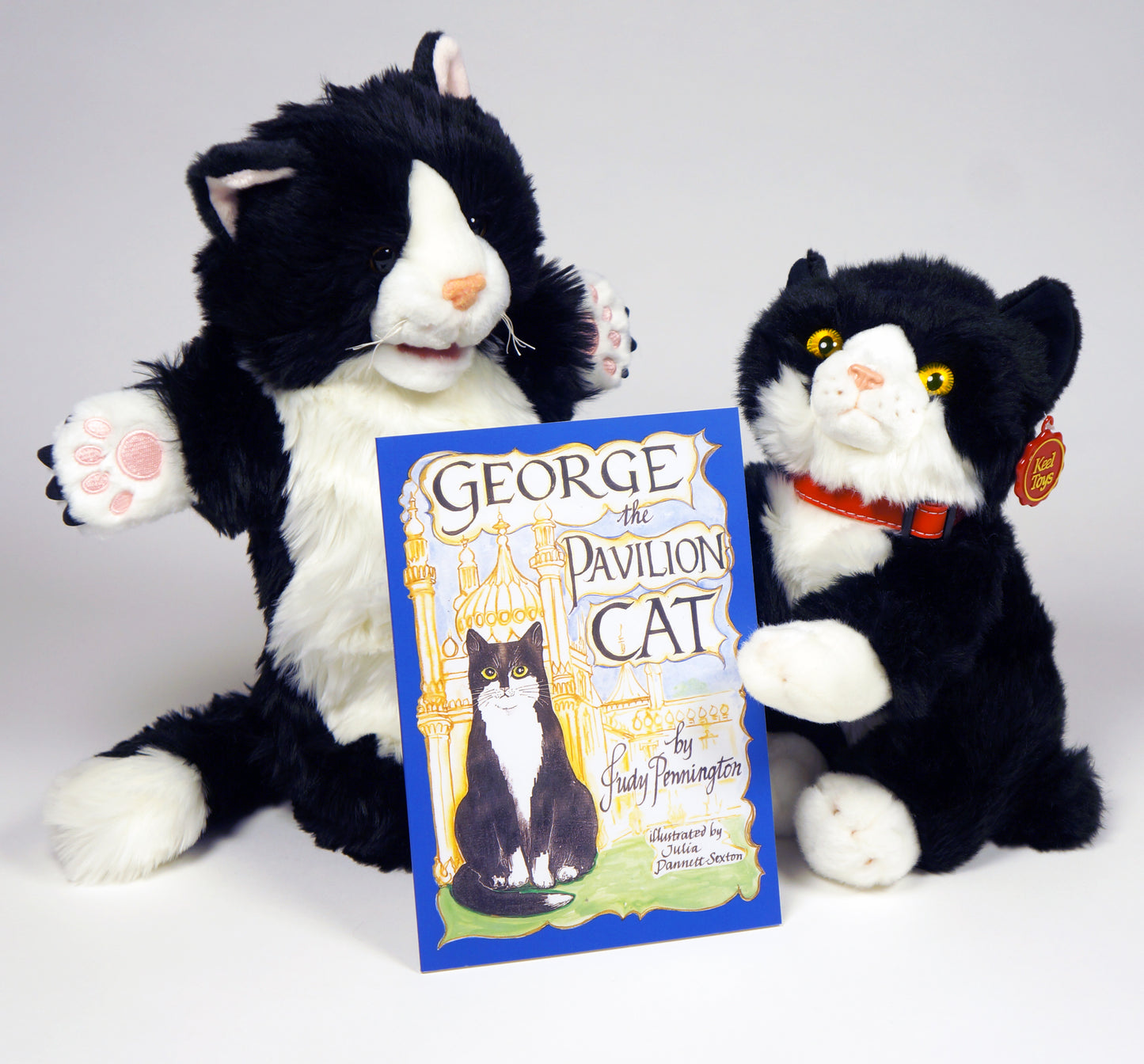George the Pavilion Cat